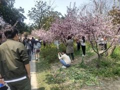 -昆山城市生态森林公园