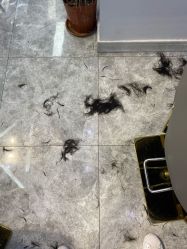 -私人定制 Hair Salon