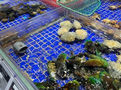 -高佳庄·舟山海鲜(海景旗舰店)