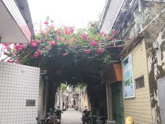 -老炳·七丛松甘草水果