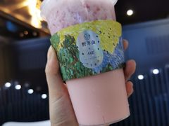 -野萃山·潮汕厚果汁(十亩地店)