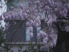 -颐和路民国时期公馆-风貌区