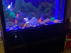 -宜昌富力皇冠假日酒店·咖啡1号西餐厅