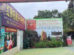 -荔枝红五号农庄