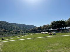 -风云岭森林公园