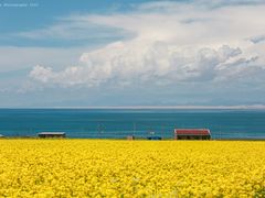 -青海湖国家重点风景名胜区