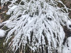 -东天目山风景区