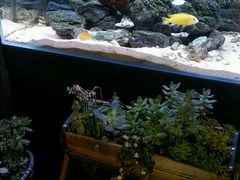 大堂-臻味私厨(国际社区店)