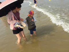 -日照海滨国家森林公园