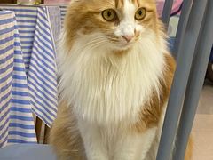 -氷冰凉刨冰甜品(北京路店)