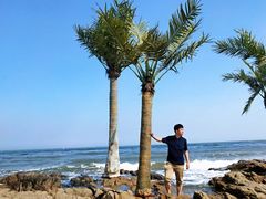 -北戴河碧螺塔海上酒吧公园