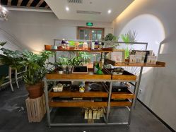 -芳香乐府疗愈空间·SPA·冥想