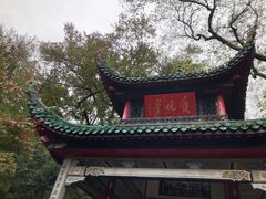 -茶颜悦色(岳麓山顶店)