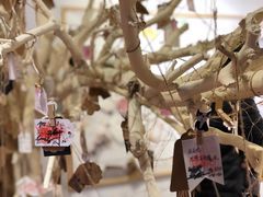 -晋江五店市传统文化旅游区