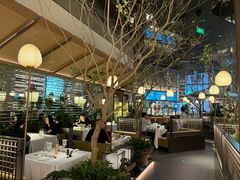 -桂满陇·海市蜃楼·黑金(国金店)