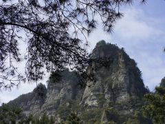 -重庆睡佛山森林公园