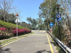 -小南山公园