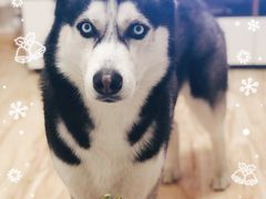 -谭鸭血老火锅(漳州路店)