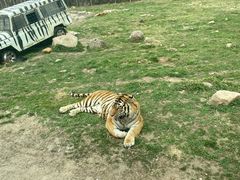 -西安秦岭野生动物园