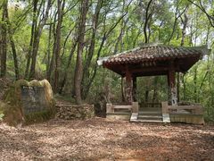 -华中科技大学东教工食堂