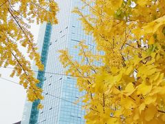 -百林公园-两江幸福广场
