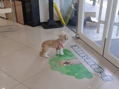 -艾贝尔宠物医院 ·中兽医·宠保定点(北门桥店)