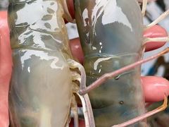 罗氏虾-马王堆海鲜水产市场