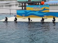 -秦皇岛乐岛海洋王国