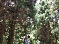 -南岳衡山风景名胜区