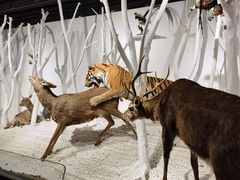 -南宫五洲植物乐园