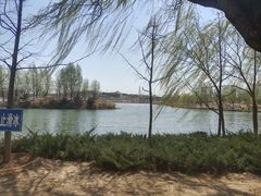 -马家湾湿地公园