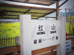 -红山村