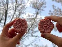 -珈境湖畔餐厅·湖北菜·江浙菜•樱花季(西北湖店)