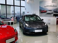 -TESLA 特斯拉(深圳观澜特斯拉直营钣喷中心)