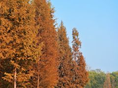 -滨湖塘西河公园