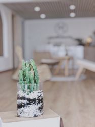 -ANNIL安奈尔·NASX超透白·科技抗衰·问题性肌肤管理