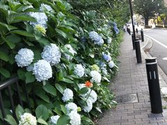 -三鹰之森吉卜力美术馆