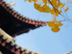 -西园戒幢律寺