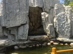 -武清南湖绿博园