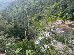 -海南热带雨林国家公园吊罗山景区