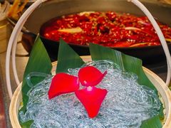 -朱光玉火锅馆(全国总店)