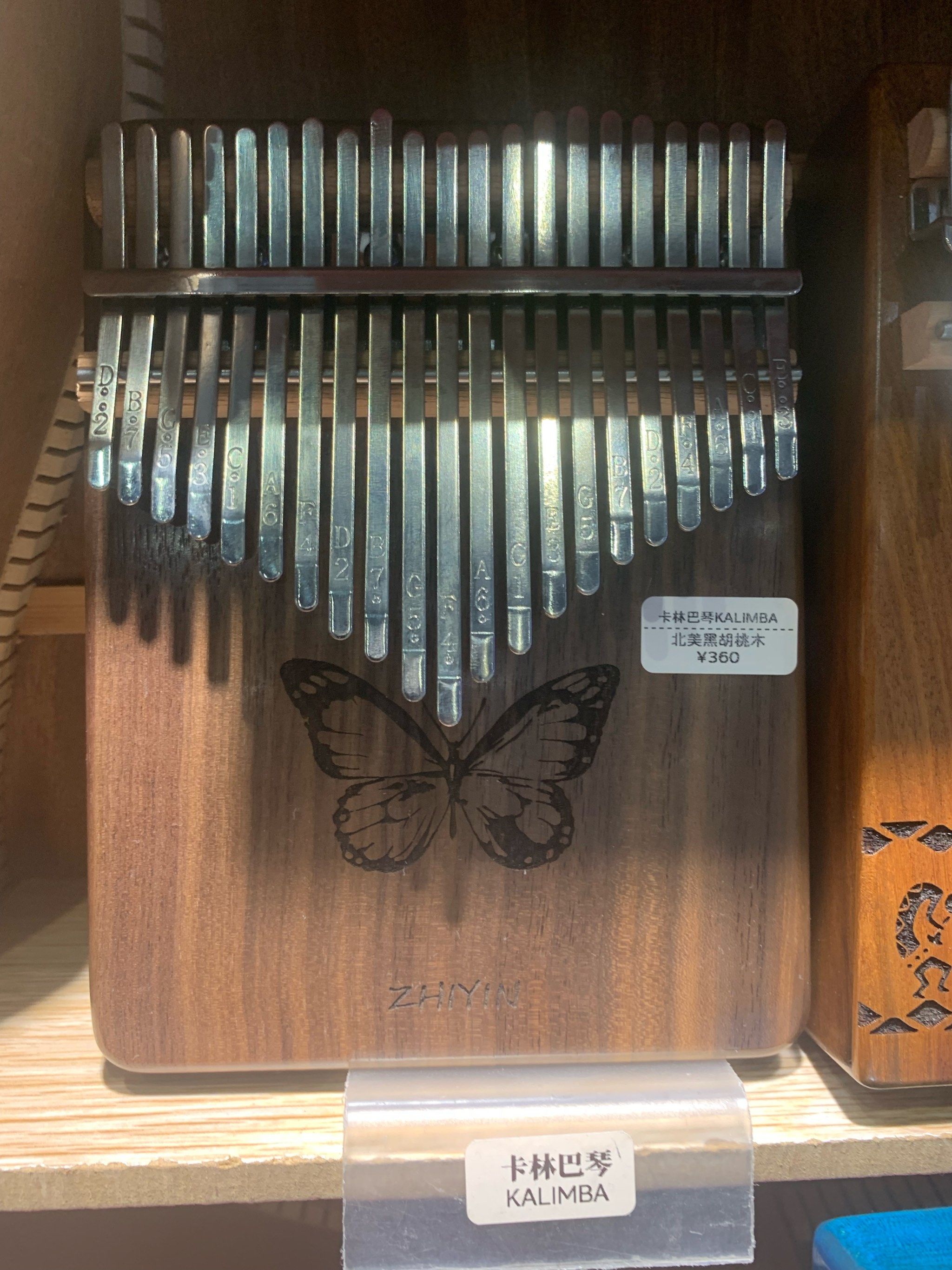 认识一款琴:卡林巴琴