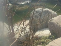 -郑州银基黄帝宫御温泉