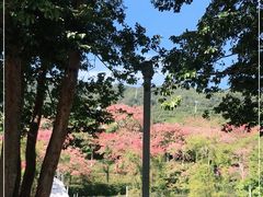 -东部华侨城