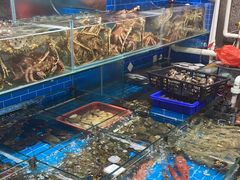 -船奇蒸汽海鲜·闽菜(八市海鲜总店)