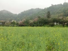 -红山村