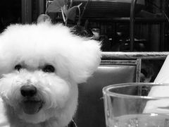 -臻鲜燕海鲜融合餐厅(金陵style店)