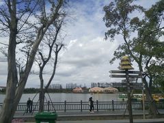 -上海长兴岛郊野公园