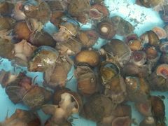 android_upload_pic-鲜鱼居饭店