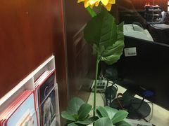 -招商银行(上海周浦支行)